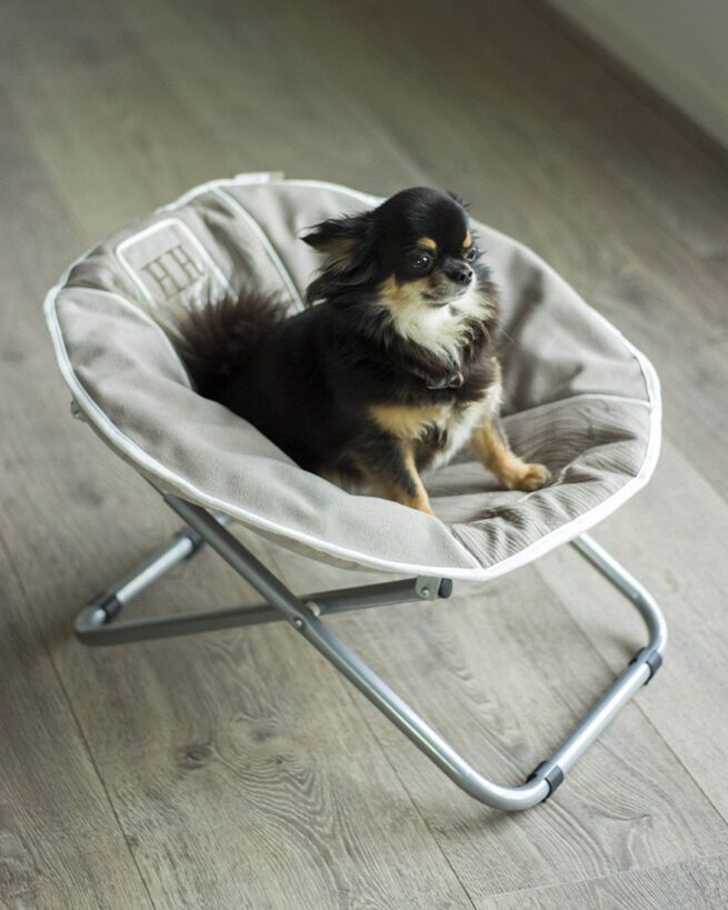 Happy House Hondenstoel Casual Living - Afbeelding 8