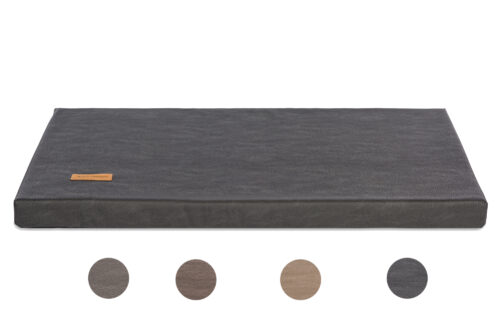 Dog's Lifestyle Benchmatras Structuro