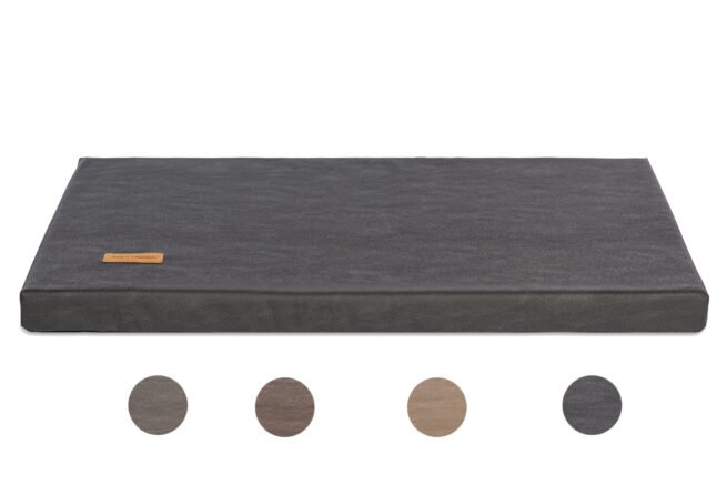 Dog's Lifestyle Benchmatras Structuro