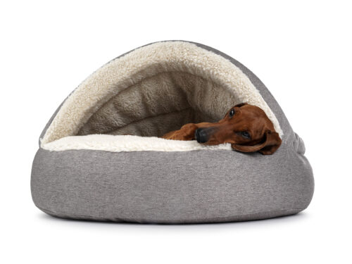 Snuggle Cave Caverna Deluxe Taupe