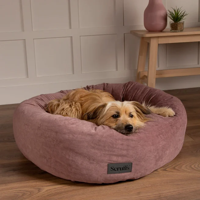 Donut hondenmand Hondenmand Scruffs Oslo Donut Oud Roze