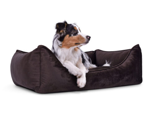 Hondenmand Glamour Velvet Bruin