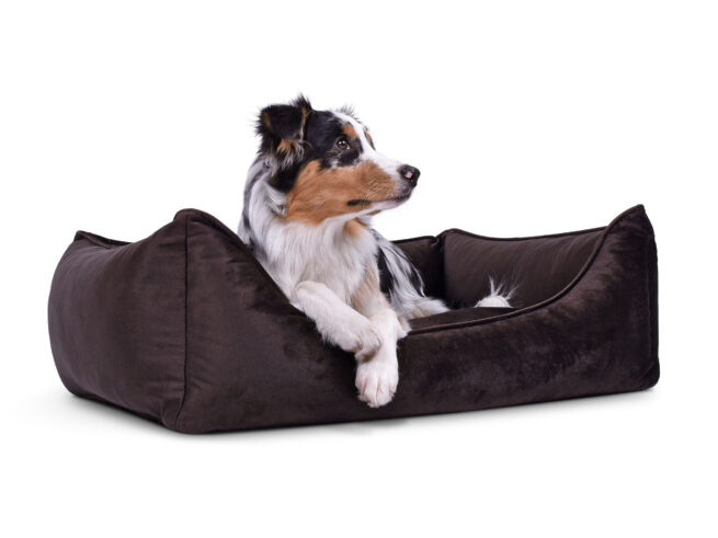 Hondenmand Glamour Velvet Bruin