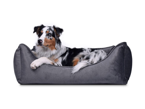 Hondenmand Glamour Velvet Antraciet