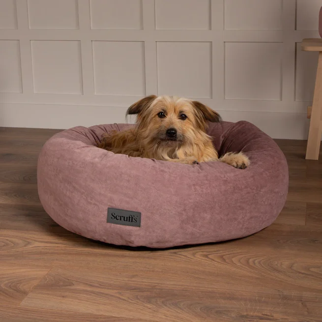 Donut hondenmand Hondenmand Scruffs Oslo Donut Oud Roze