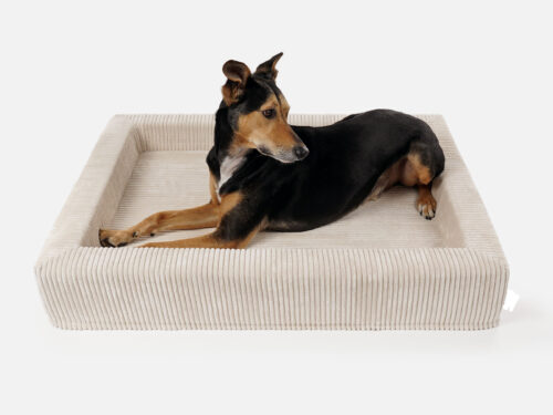 Hondenmand Ribbed Corduroy Rechthoek Beige