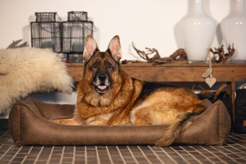 Orthopedische hondenmand Beeztees Uma Bruin 120cm
