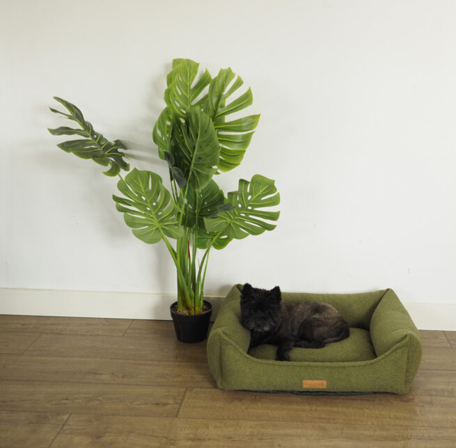 Hondenmand Bouclé Groen - Afbeelding 6
