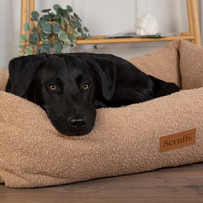 Geen categorie Hondenmand Scruffs Boucle Desert Brown