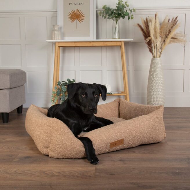 Geen categorie Hondenmand Scruffs Boucle Desert Brown