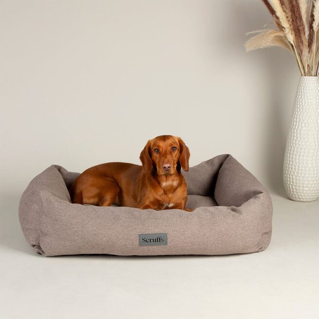 Kleine hondenmand Scruffs Hondenmand Seattle Stone Grey