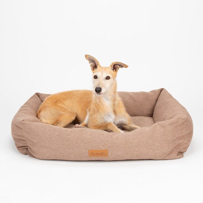 Geen categorie Scruffs Hondenmand Seattle Sienna Brown