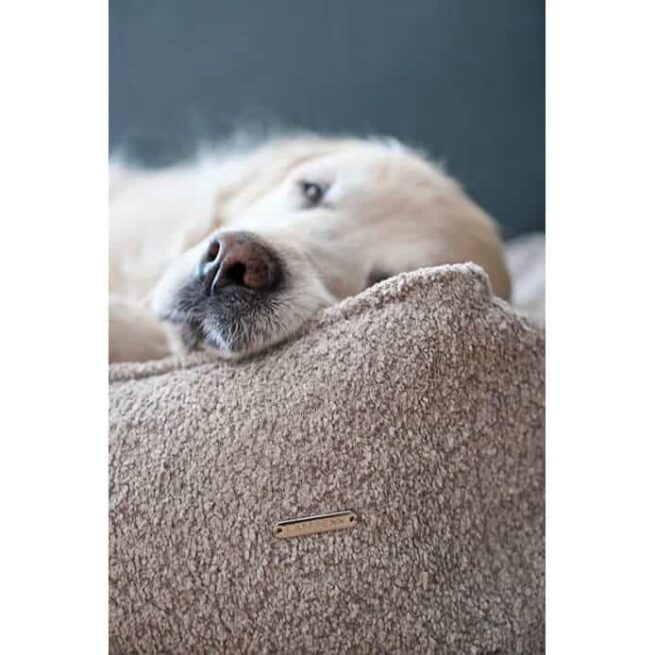 Hondenmand Labbvenn Buklaa Beige - Afbeelding 3