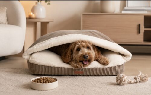 Dog's Lifestyle Snuggle Cave Hondenkussen Ribbed Taupe<div class="yasr-vv-stars-title-container"><div class='yasr-stars-title yasr-rater-stars'
id='yasr-visitor-votes-readonly-rater-7d8a0cdf660af'
data-rating='3.3'
data-rater-starsize='16'
data-rater-postid='214363'
data-rater-readonly='true'
data-readonly-attribute='true'
></div><span class='yasr-stars-title-average'>3.3 (29)</span></div> Snuggle Cave Hondenkussen Ribbed Taupe