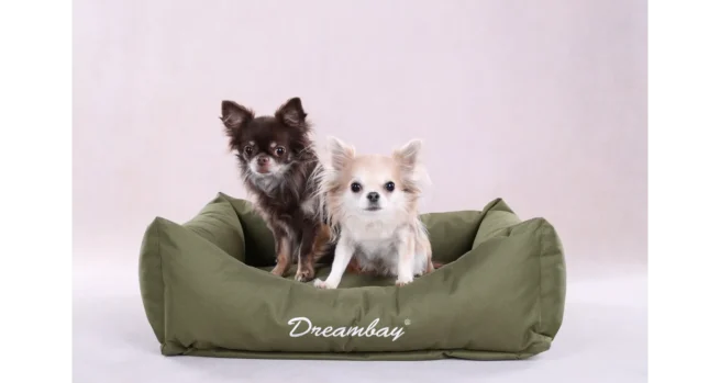 Hondenmand Dreambay Olijfgroen - Afbeelding 4