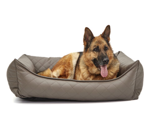 Hondenmand Eco-Leer Donkerbruin 100cm