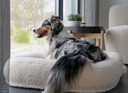 Hondenmand Dolly Wol Rechthoek