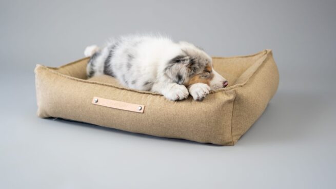 Labbvenn orthopedische hondenmand Movik Biscuit - Afbeelding 2