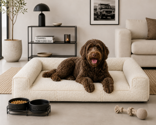 Dog's Lifestyle Orthopedische Hondenmand Lounge Bed Boucle Ivoor<div class="yasr-vv-stars-title-container"><div class='yasr-stars-title yasr-rater-stars'
id='yasr-visitor-votes-readonly-rater-3fa48ca6269a0'
data-rating='0'
data-rater-starsize='16'
data-rater-postid='216526'
data-rater-readonly='true'
data-readonly-attribute='true'
></div><span class='yasr-stars-title-average'>0 (0)</span></div> Orthopedische Hondenmand Lounge Bed Boucle Ivoor
