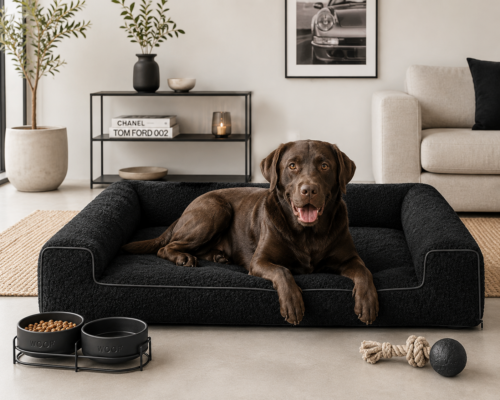 Dog's Lifestyle Orthopedische Hondenmand Lounge Bed Boucle Zwart<div class="yasr-vv-stars-title-container"><div class='yasr-stars-title yasr-rater-stars'
id='yasr-visitor-votes-readonly-rater-359a2c866105a'
data-rating='0'
data-rater-starsize='16'
data-rater-postid='216523'
data-rater-readonly='true'
data-readonly-attribute='true'
></div><span class='yasr-stars-title-average'>0 (0)</span></div> Orthopedische Hondenmand Lounge Bed Boucle Zwart