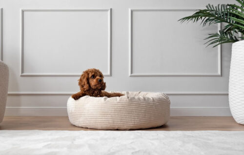 Merken Hondenmand Chester Chocolate Bruin Donut Hondenmand Ribbed Deluxe