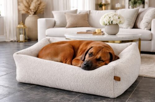 Grote hondenmand Hondenbed Surplus Rotan Bed Hondenmand Boucle Snuggle Ivoor