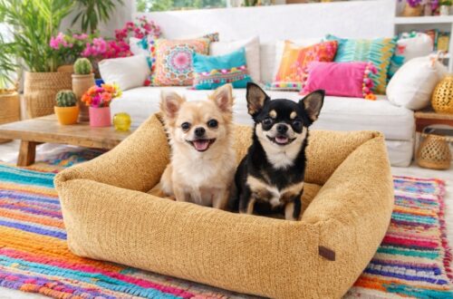 Grote hondenmand Hondenbed Surplus Rotan Bed Hondenmand Ibiza Okergeel