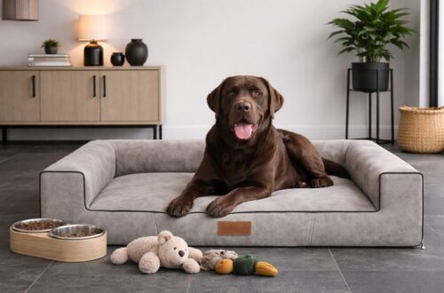 Dog's Lifestyle Orthopedische Hondenmand Lounge Bed Misty Taupe<div class="yasr-vv-stars-title-container"><div class='yasr-stars-title yasr-rater-stars'
id='yasr-visitor-votes-readonly-rater-548bc3d56e99b'
data-rating='0'
data-rater-starsize='16'
data-rater-postid='218742'
data-rater-readonly='true'
data-readonly-attribute='true'
></div><span class='yasr-stars-title-average'>0 (0)</span></div> Orthopedische Hondenmand Lounge Bed Misty Taupe