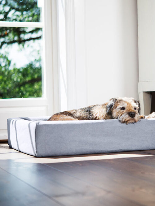 Grote hondenmand Hondenbed Surplus Rotan Bed Bia Bed Hoes Cotton Grijs