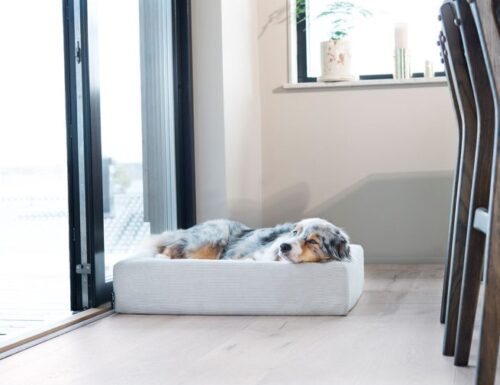 Grote hondenmand Hondenbed Surplus Rotan Bed Bia Bed Hondenmand Hoes Rib Zand