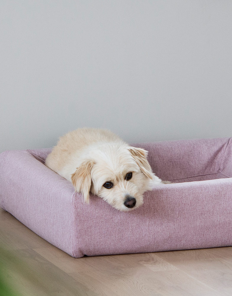 Bia Bed Hondenmand Bia Bed Hondenmand Hoes Skanor Bia Bed Hondenmand Hoes Skanor - Afbeelding 8