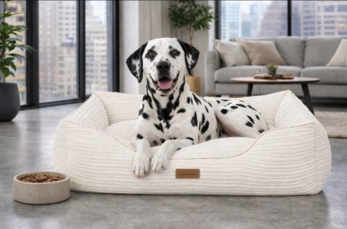 Grote hondenmand Hondenbed Surplus Rotan Bed Hondenmand Rib Corduroy Ivoor