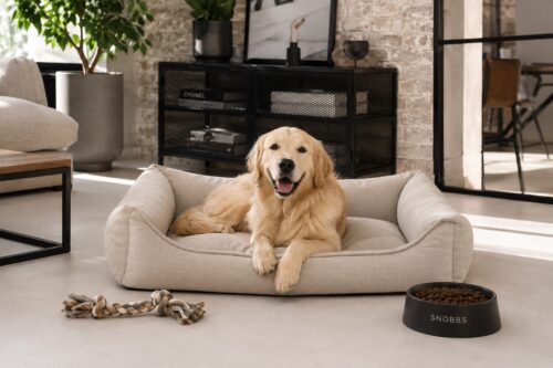 Grote hondenmand Hondenbed Surplus Rotan Bed Orthopedische Hondenmand Snobbs Santos Beige