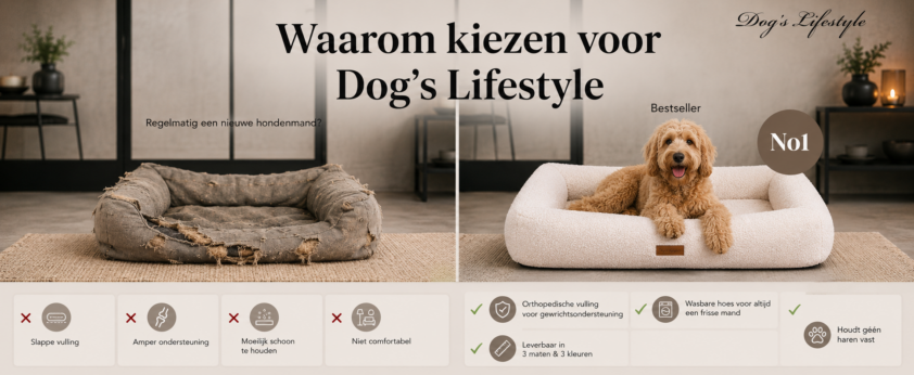 hodndenmand dogs lifestyle