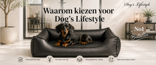 Dog's Lifestyle