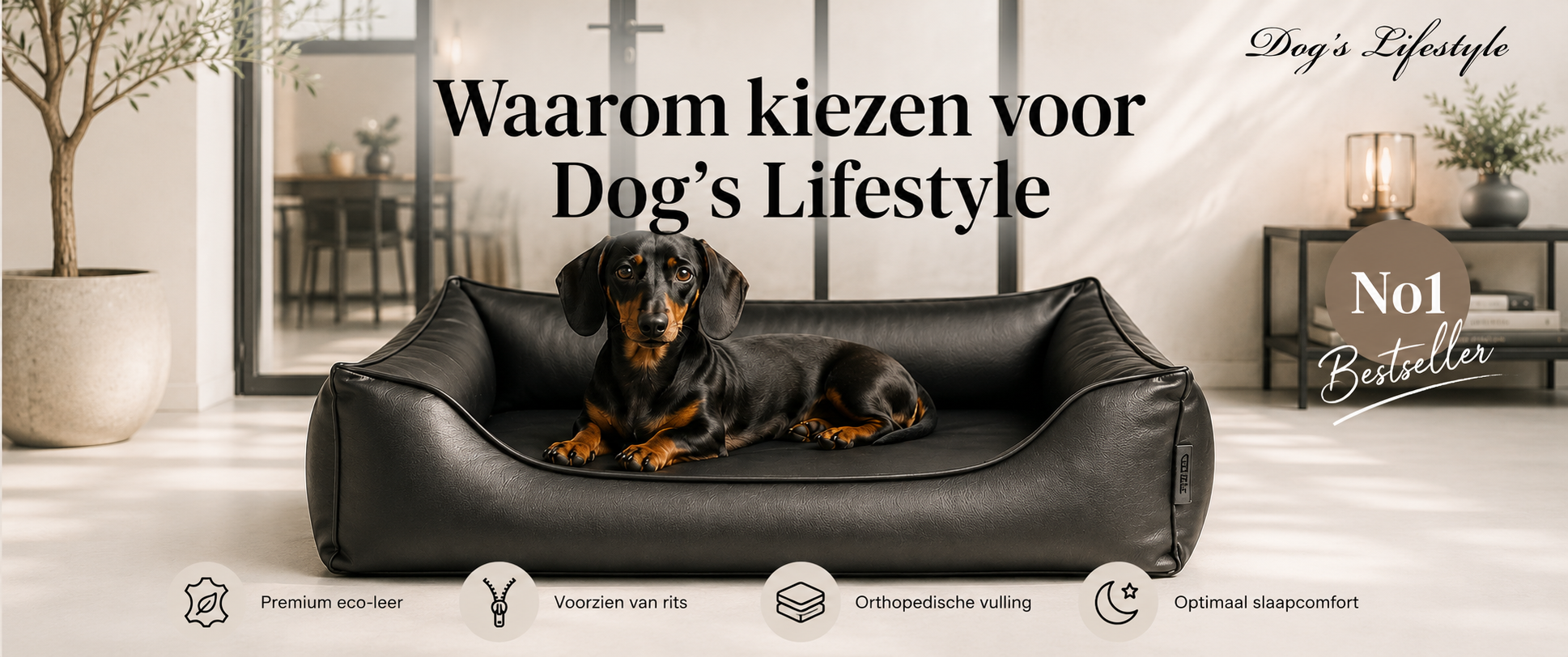 Dog's Lifestyle