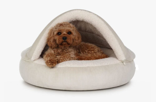 Merken Snuggle Cave Hondenmand Ribbed Small CrĆØme ā Luxe Hondenhol met Zachte Schapenvachtlook<div class="yasr-vv-stars-title-container"><div class='yasr-stars-title yasr-rater-stars'
id='yasr-visitor-votes-readonly-rater-8a577d045ba68'
data-rating='0'
data-rater-starsize='16'
data-rater-postid='219981'
data-rater-readonly='true'
data-readonly-attribute='true'
></div><span class='yasr-stars-title-average'>0 (0)</span></div> Snuggle Cave Hondenmand Ribbed Small CrĆØme ā Luxe Hondenhol met Zachte Schapenvachtlook