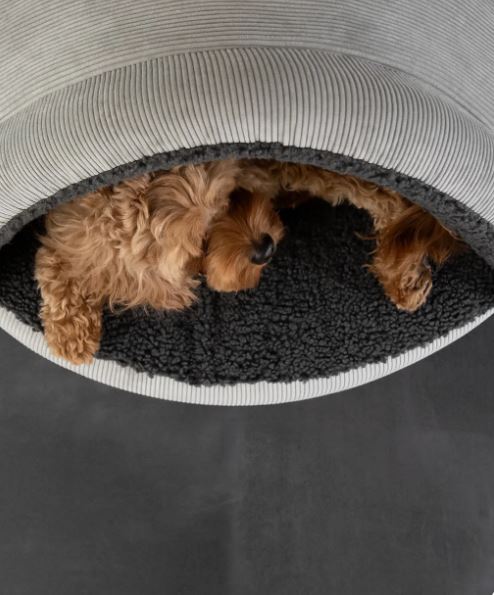 Merken Snuggle Cave Hondenmand Ribbed Small Antraciet – Luxe Hondenhol met Zachte Schapenvachtlook Snuggle Cave Hondenmand Ribbed Small Antraciet – Luxe Hondenhol met Zachte Schapenvachtlook - Afbeelding 3