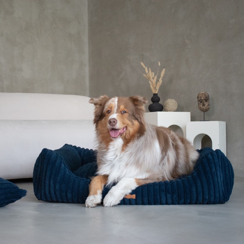 Denzoo hondenmanden Denzoo Palermo – Orthopedische Hondenmand met VISCO Memory Foam Denzoo Palermo – Orthopedische Hondenmand met VISCO Memory Foam - Afbeelding 10