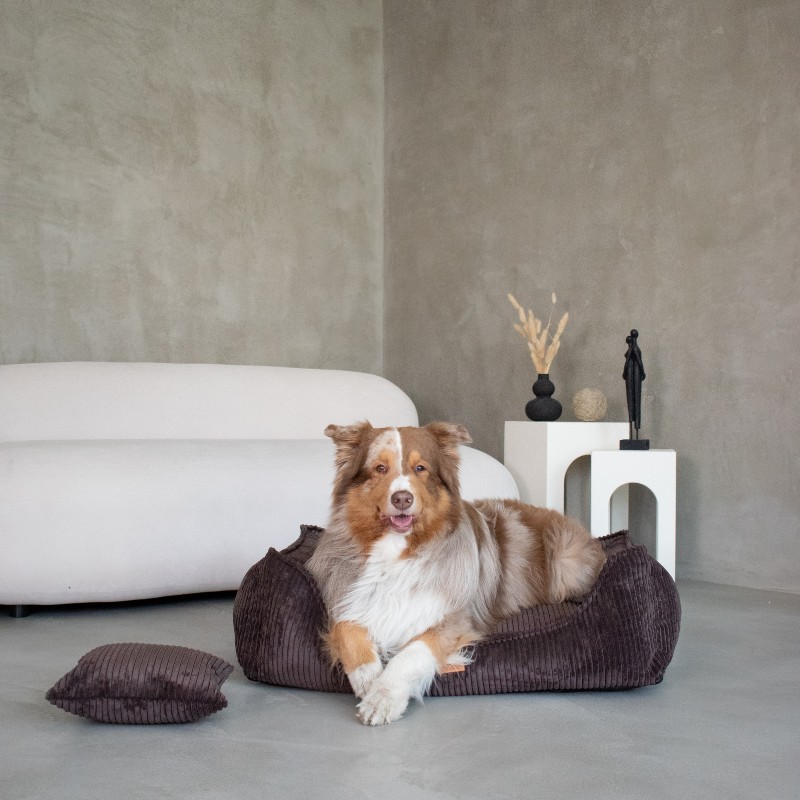 Denzoo Orthopedische Hondenmanden Orthopedische Hondenmand Milano Ribbed Bruin – Visco Memory Foam – Luxe & Wasbaar Orthopedische Hondenmand Milano Ribbed Bruin – Visco Memory Foam – Luxe & Wasbaar - Afbeelding 3
