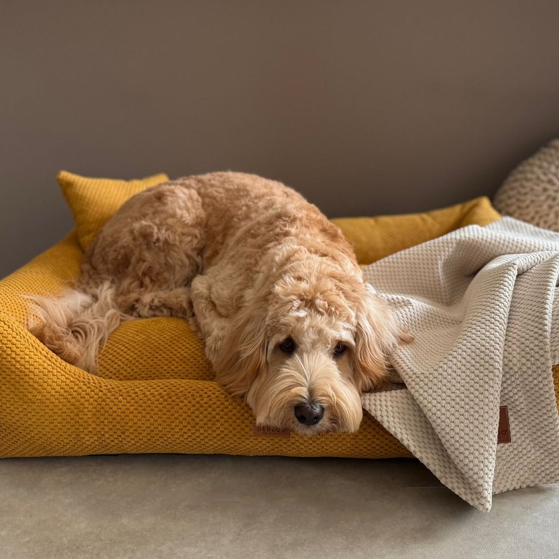 Denzoo hondenmanden Orthopedische Hondenmand Prato | VISCO Memory Foam Orthopedische Hondenmand Prato | VISCO Memory Foam - Afbeelding 21