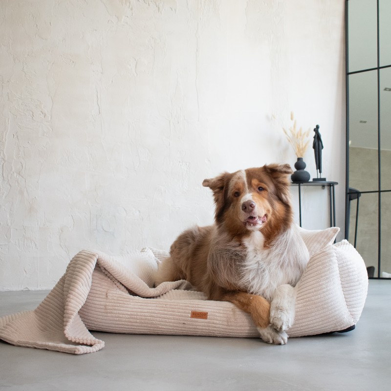 Denzoo hondenmanden Orthopedische Hondenmand Rimini Brede Rib Corduroy & VISCO Memory Foam Orthopedische Hondenmand Rimini Brede Rib Corduroy & VISCO Memory Foam - Afbeelding 18