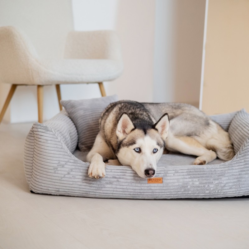 Denzoo hondenmanden Orthopedische Hondenmand Rimini Brede Rib Corduroy & VISCO Memory Foam Orthopedische Hondenmand Rimini Brede Rib Corduroy & VISCO Memory Foam - Afbeelding 31