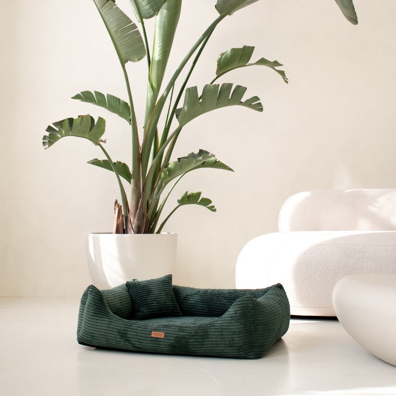 Denzoo hondenmanden Orthopedische Hondenmand Rimini Brede Rib Corduroy & VISCO Memory Foam Orthopedische Hondenmand Rimini Brede Rib Corduroy & VISCO Memory Foam - Afbeelding 40