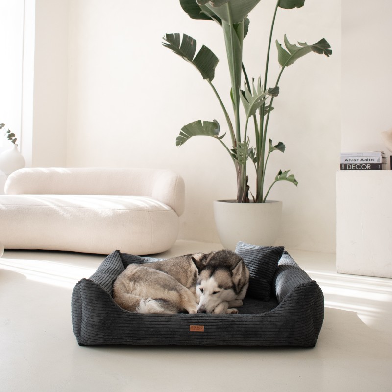 Denzoo hondenmanden Orthopedische Hondenmand Rimini Brede Rib Corduroy & VISCO Memory Foam Orthopedische Hondenmand Rimini Brede Rib Corduroy & VISCO Memory Foam - Afbeelding 14