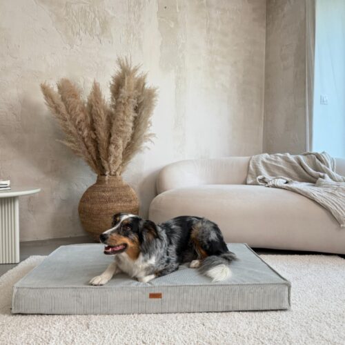 Denzoo hondenmanden Denzoo Torino Grijs – Orthopedisch Hondenmatras met VISCO Memory Foam<div class="yasr-vv-stars-title-container"><div class='yasr-stars-title yasr-rater-stars'
id='yasr-visitor-votes-readonly-rater-d9bdc65abb90b'
data-rating='0'
data-rater-starsize='16'
data-rater-postid='220843'
data-rater-readonly='true'
data-readonly-attribute='true'
></div><span class='yasr-stars-title-average'>0 (0)</span></div> Denzoo Torino Grijs – Orthopedisch Hondenmatras met VISCO Memory Foam