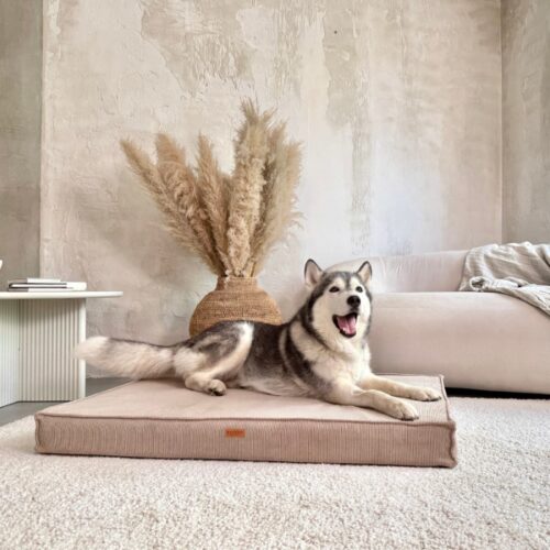 Denzoo hondenmanden Denzoo Torino Taupe – Orthopedisch Hondenmatras met VISCO Memory Foam<div class="yasr-vv-stars-title-container"><div class='yasr-stars-title yasr-rater-stars'
id='yasr-visitor-votes-readonly-rater-d90905590ac6c'
data-rating='0'
data-rater-starsize='16'
data-rater-postid='220853'
data-rater-readonly='true'
data-readonly-attribute='true'
></div><span class='yasr-stars-title-average'>0 (0)</span></div> Denzoo Torino Taupe – Orthopedisch Hondenmatras met VISCO Memory Foam