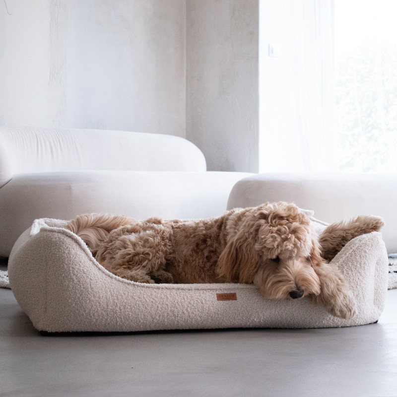 Denzoo hondenmanden Orthopedische Hondenmand Belluno Boucle – met VISCO Memory Foam Orthopedische Hondenmand Belluno Boucle - met VISCO Memory Foam - Afbeelding 20