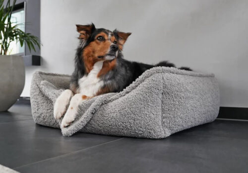 Grote hondenmand Hondenbed Surplus Rotan Bed Hondenmand Dolly Wol Grijs – Zachte Hondenmand – Wasbaar – Optioneel Orthopedisch