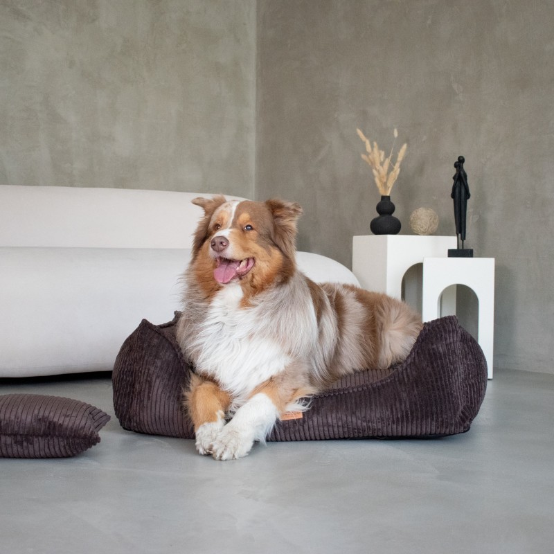 Denzoo Orthopedische Hondenmanden Orthopedische Hondenmand Milano Ribbed Bruin – Visco Memory Foam – Luxe & Wasbaar Orthopedische Hondenmand Milano Ribbed Bruin – Visco Memory Foam – Luxe & Wasbaar - Afbeelding 5
